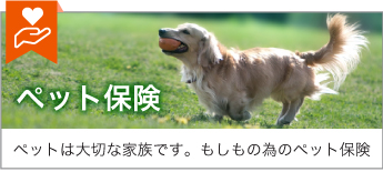 ペット保険